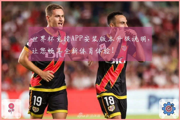 世界杯竞猜APP安装版本升级说明,让您畅享全新体育体验!