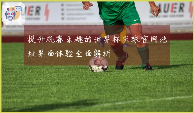 提升观赛乐趣的世界杯买球官网地址界面体验全面解析