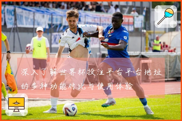 深入了解世界杯投注平台平台地址的多种功能对比与使用体验