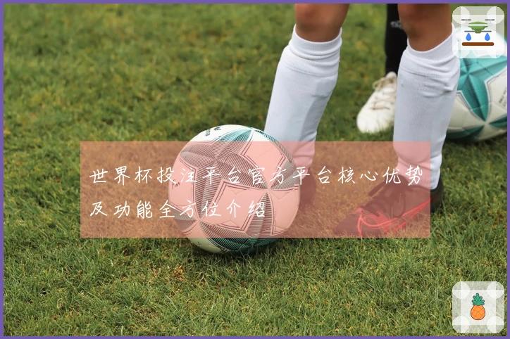 世界杯投注平台官方平台核心优势及功能全方位介绍