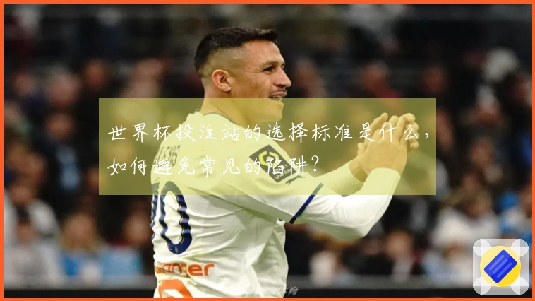 世界杯投注站的选择标准是什么，如何避免常见的陷阱？
