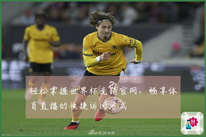轻松掌握世界杯竞猜官网,畅享体育直播的快捷访问方式