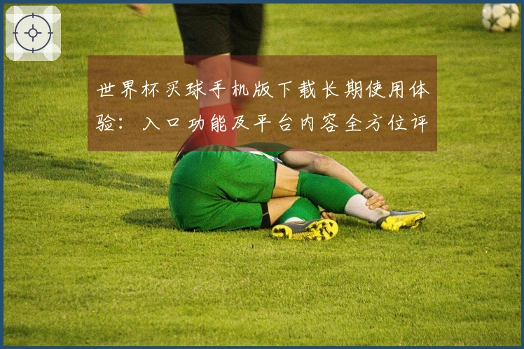 世界杯买球手机版下载长期使用体验：入口功能及平台内容全方位评估
