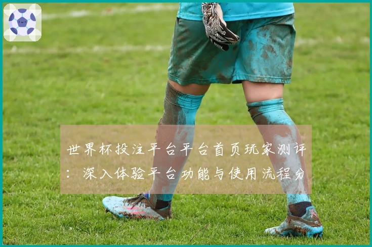 世界杯投注平台平台首页玩家测评：深入体验平台功能与使用流程分析