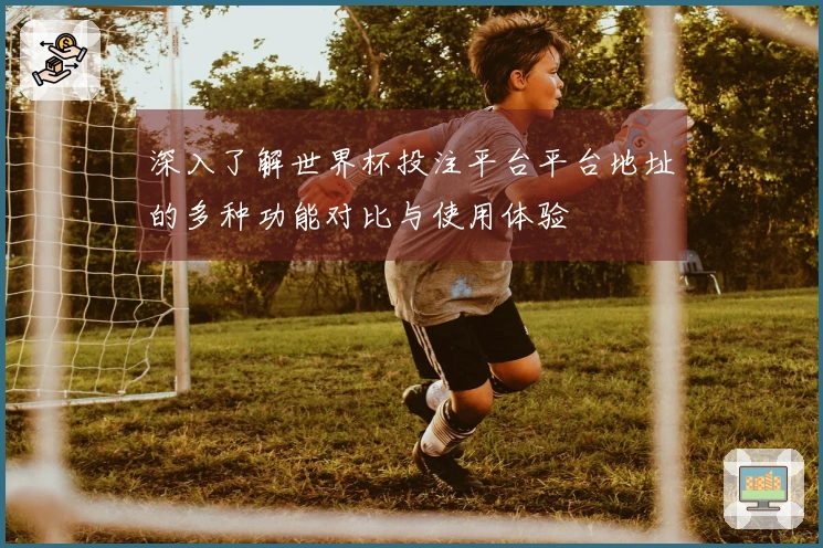 深入了解世界杯投注平台平台地址的多种功能对比与使用体验