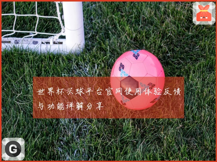 世界杯买球平台官网使用体验反馈与功能详解分享