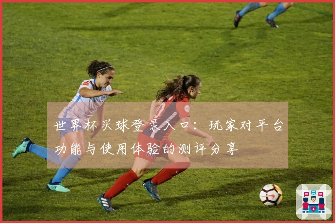 世界杯买球登录入口：玩家对平台功能与使用体验的测评分享