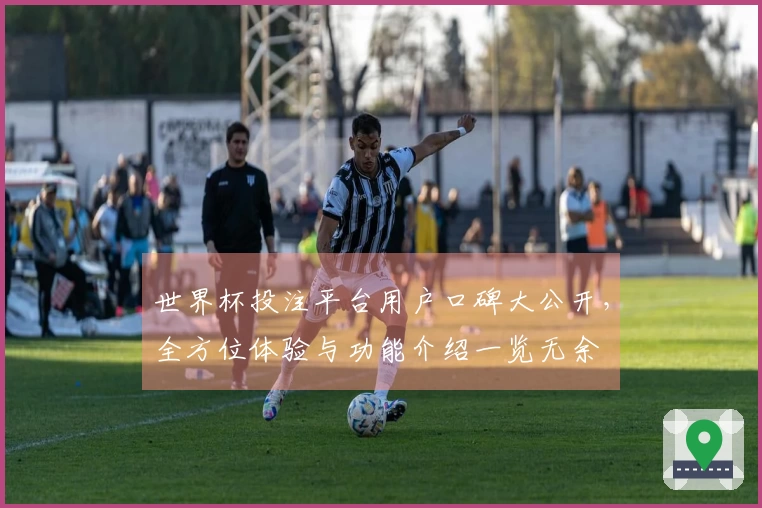 世界杯投注平台用户口碑大公开，全方位体验与功能介绍一览无余