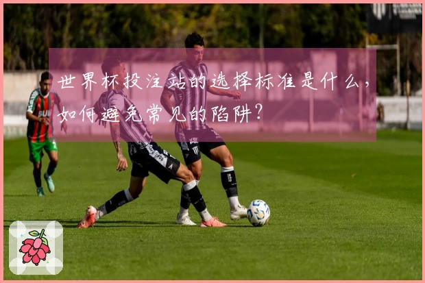 世界杯投注站的选择标准是什么,如何避免常见的陷阱?