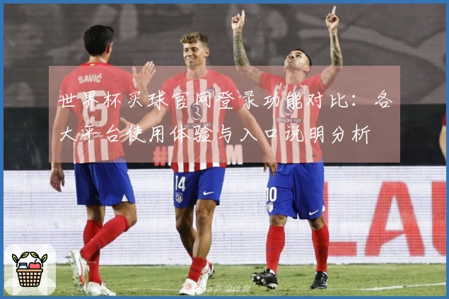 世界杯买球官网登录功能对比：各大平台使用体验与入口说明分析