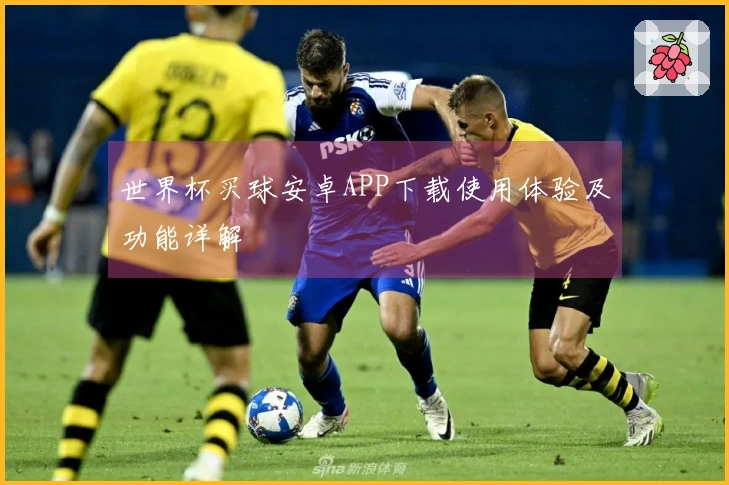 世界杯买球安卓APP下载使用体验及功能详解