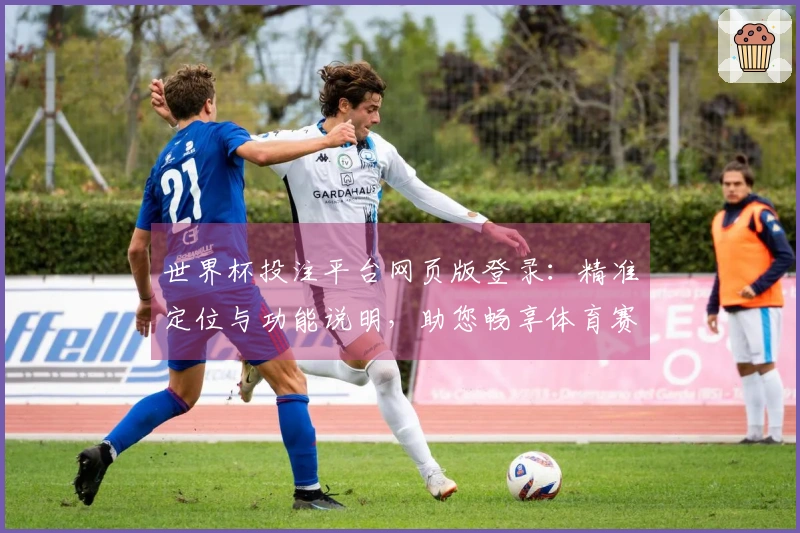 世界杯投注平台网页版登录:精准定位与功能说明,助您畅享体育赛事