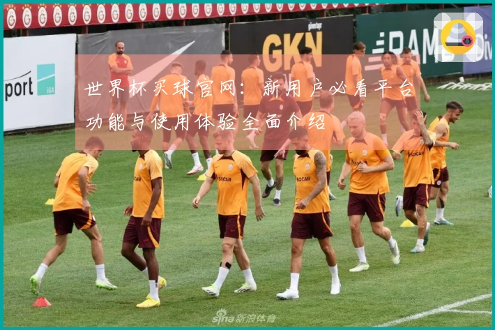 世界杯买球官网：新用户必看平台功能与使用体验全面介绍
