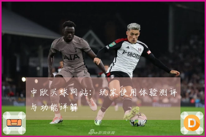 中欧买球网站：玩家使用体验测评与功能详解
