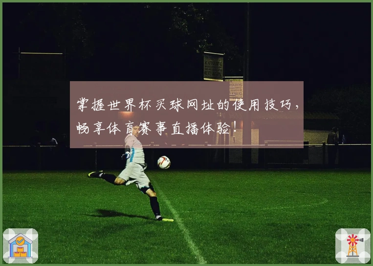 掌握世界杯买球网址的使用技巧，畅享体育赛事直播体验！